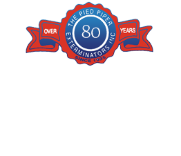 Protecting your property since 1935
